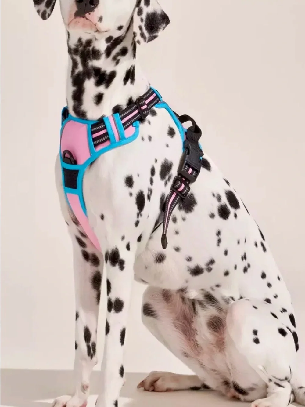 Rabbitgoo ColorPop Fit No Pull Dog Harness